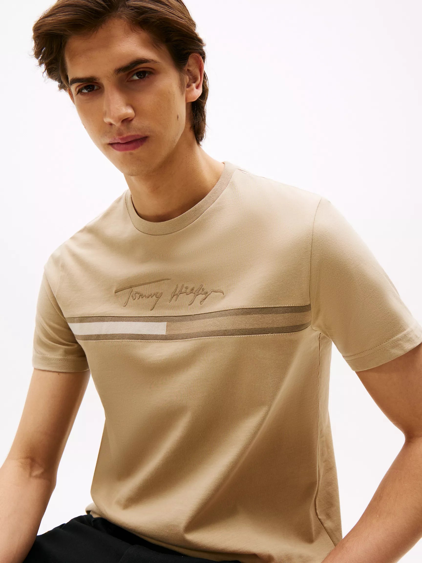 Tommy Tonal Signature Flag Logo T-Shirt
