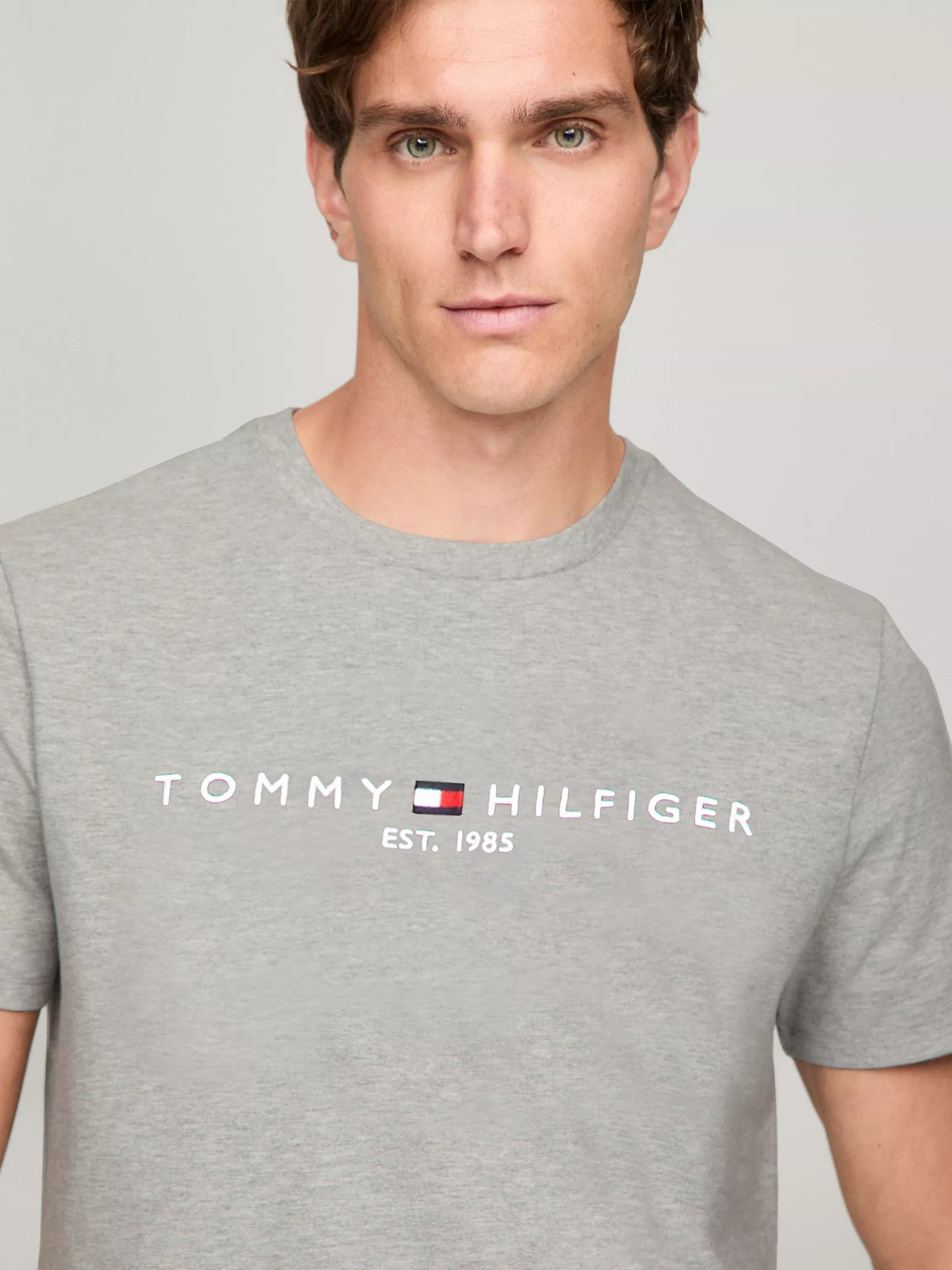 Tommy Embroidered Tommy Logo Slim Fit T-Shirt