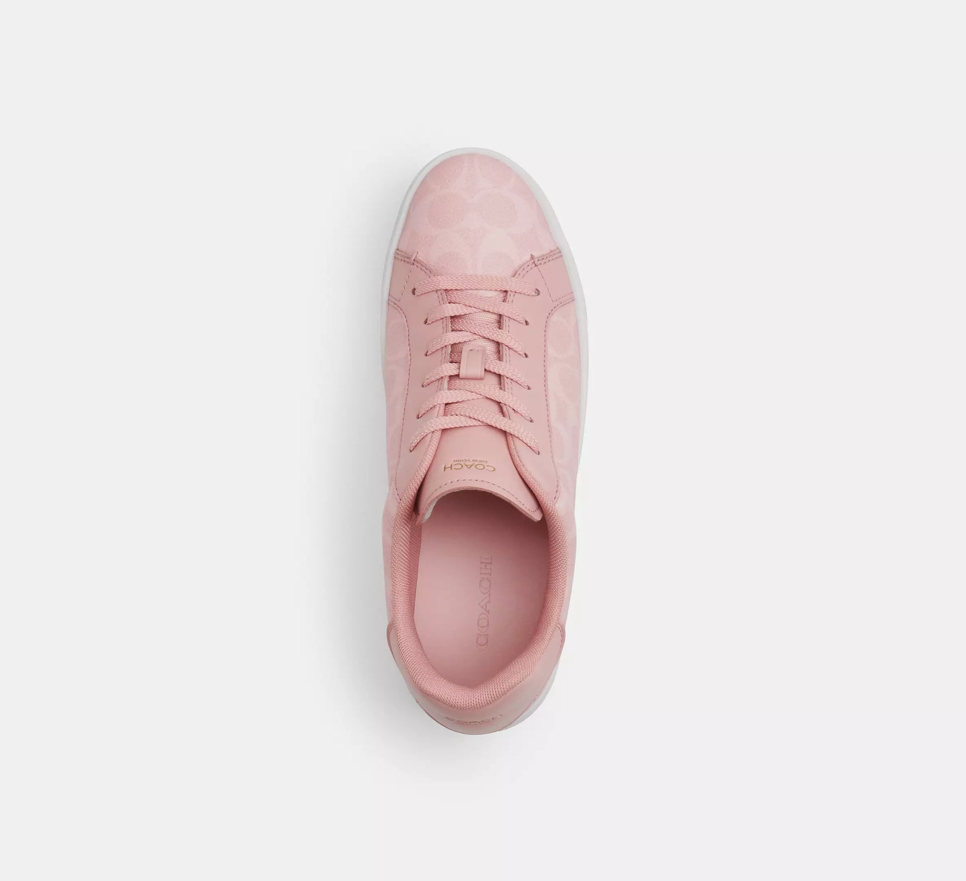 Coach High Line Sneaker In Signature Canvas
