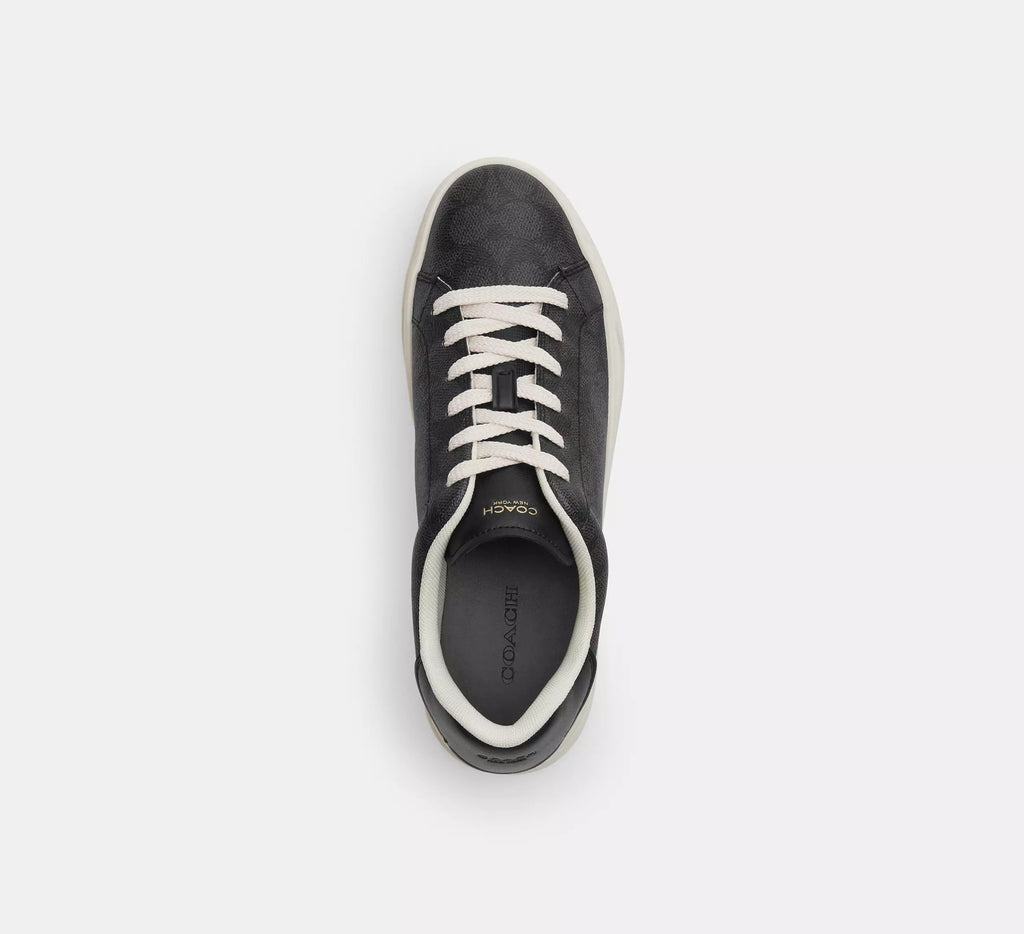 Coach High Line Sneaker In Signature Canvas