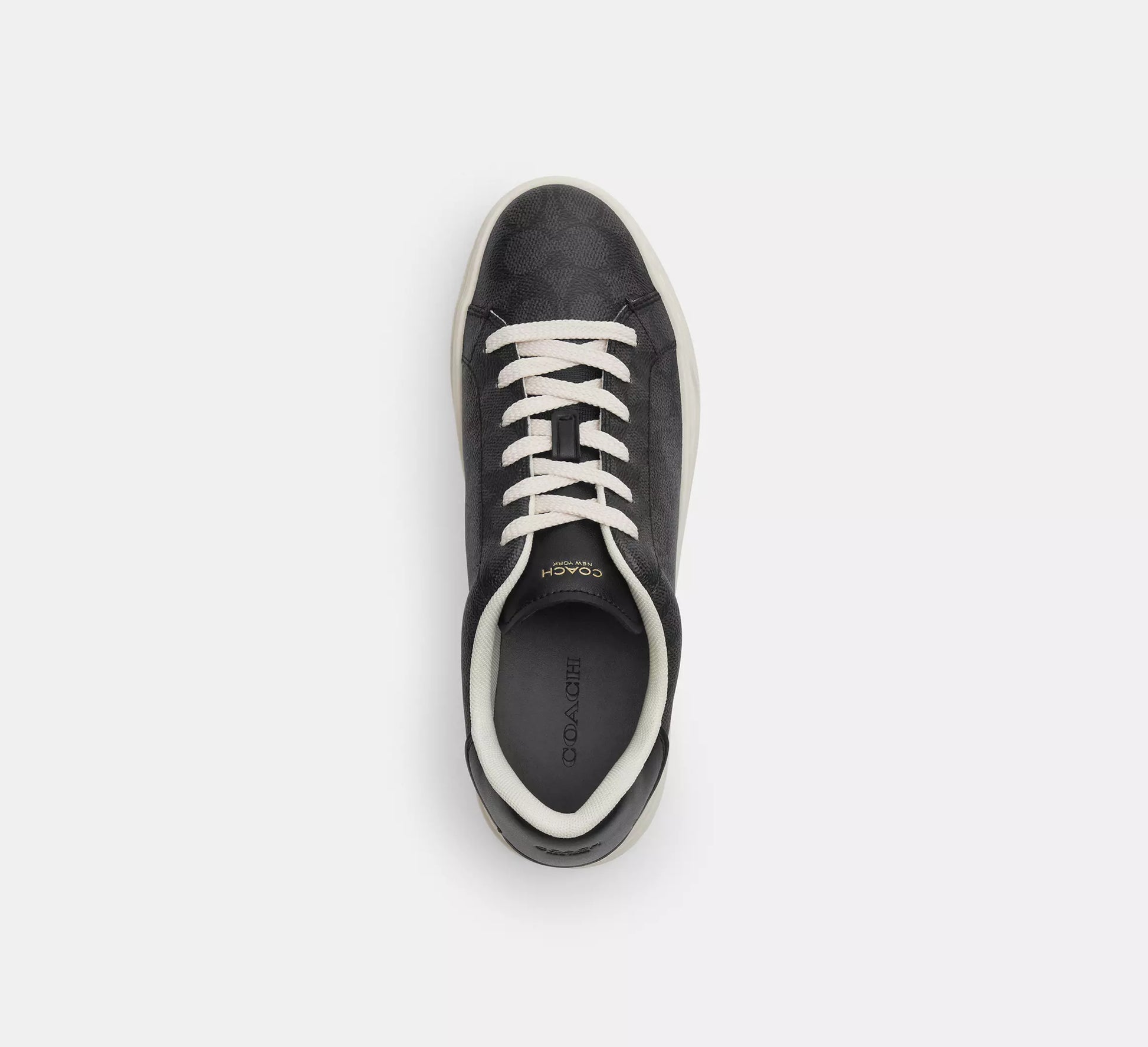 Coach High Line Sneaker In Signature Canvas
